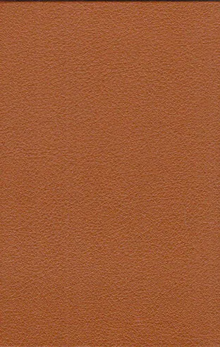 دستهای آلوده و مائده های زمینی جیبی چرم